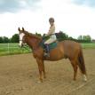 Pauline and Lucky